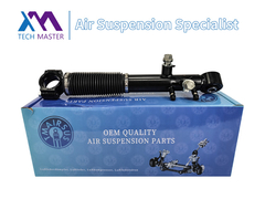 테크 마스터 TMAIRSUS 렉서스 GX460 48885-60030의 후면 충격 흡수기