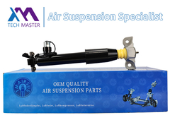 테크 마스터 TMAIRSUS 후방 왼쪽 충격 흡수 스트럭 링컨 MKX F2GZ18125Z