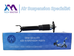 후면 충격 흡수기 캐딜락 C5 22248830용 스트루트 흡수기