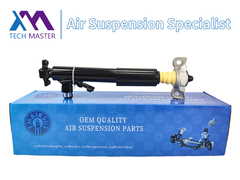 테크 마스터 TMAIRSUS 링컨 MKT DE9Z18125A의 오른쪽 후면 충격 흡수기