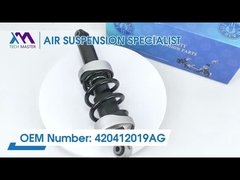 테크 마스터 TMAIRSUS ADS 420412019AG와 함께 좌측 아우디 R8 전면 충격 흡수기