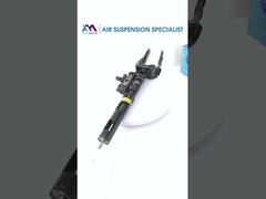 BENZ W166 1663201313의 앞 공기 서스펜션 덤퍼의 섹션 뷰