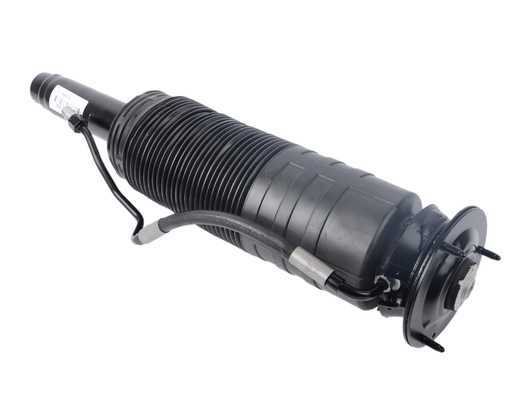 OEM 번호 2203208313 2203205813 2203208413 2203205413 수압 충격 흡수기 Mercedes-Benz CL/ S- 클래스 W220 W215